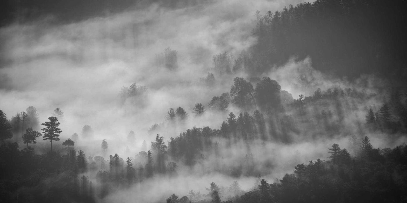 ERV vs. HRV: Choosing the Right Whole-Home Ventilation